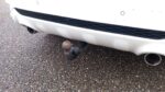 Ford Kuga – Image 8